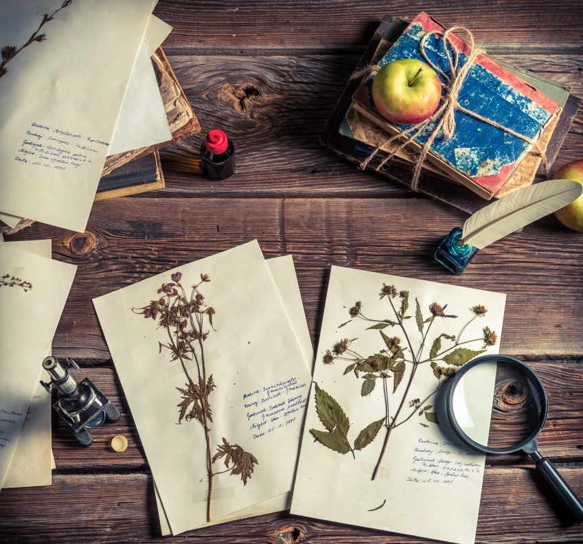 mail scanning service