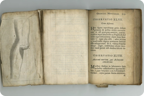 document scanning for museums