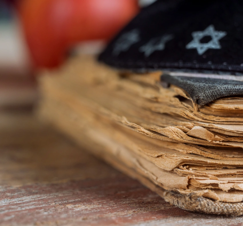 handwritten diary digitization